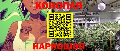 стаф Заволжье
